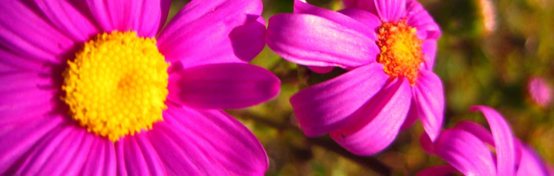 Kosmetikstudio Aachen - Headerbild 02